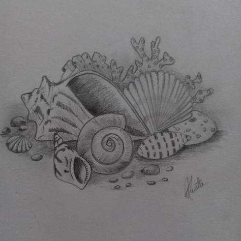 It's a pencil sketch of some sea creatures like snail, clam, oyster, coral and shells Coral Pencil Drawing, Clam Drawing, Coral Sketch, Sealife Drawing, See Creatures, Coral Tattoo, Seashell Drawing, Creatures Drawing, Sea Creatures Drawing