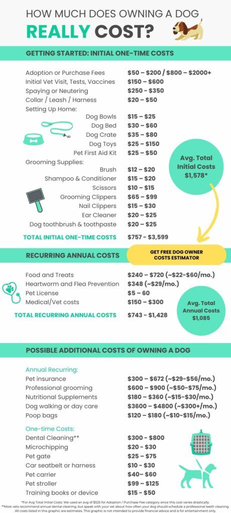 dog-owner-costs-infographic - doglifemag.com Behavior Tips, Owning A Dog, Dog Advice, Flea Prevention, Dog Toothbrush, Pet Stroller, Dental Cleaning, Dog Projects, Dog Hacks