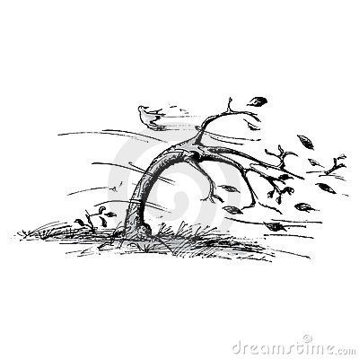 Tree In Black And White | of a tree blowing in the wind. This is the black and white ... Wind Tattoo, Wind Drawing, Wild Is The Wind, Wind Art, Tree Sketches, Landscape Sketch, Tree Drawing, Tree Tattoo, Willow Tree