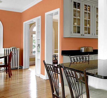 Kitchen Wall Color - White and Peach - gladden ripe apricot Best Wall Paint, Galley Wall, Best Kitchen Colors, Paint For Kitchen Walls, Peach Walls, Kitchen Wall Colors, Orange Kitchen, Kitchen Paint Colors, Kitchen And Dining Room