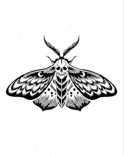 Moth Tattoo Flash Sheet, Deathshead Hawkmoth Tattoo, Skull Moth Tattoo, Heart And Soul Tattoo, Wing Tattoos, Moth Drawing, Moth Tattoo Design, Left Arm Tattoos, Skull Moth