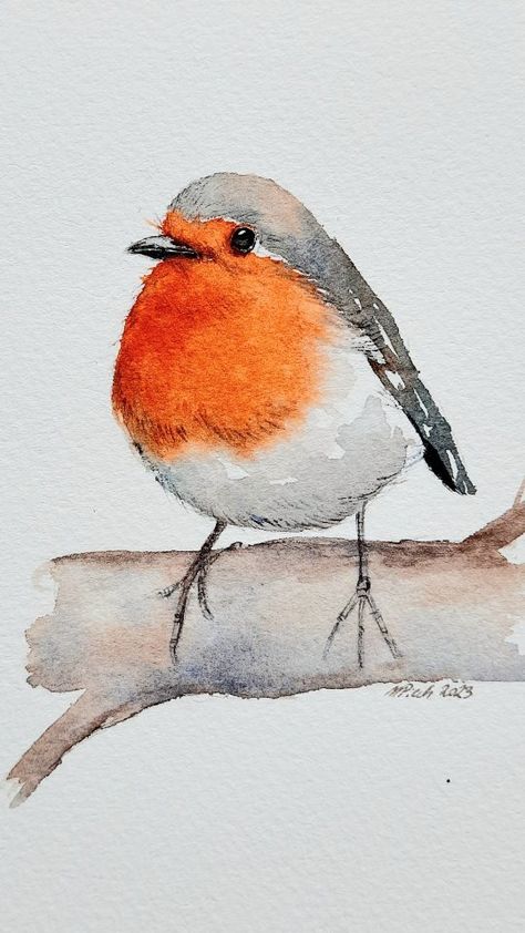 Robin ❤ | Instagram Simple Robin Drawing, Christmas Robins Watercolour, Paintings Of Robins, Colorful Birds Drawing, Cute Robin Illustration, Watercolour Birds Simple, Robin Illustration Bird, Christmas Robin Illustration, Robin Drawing Simple