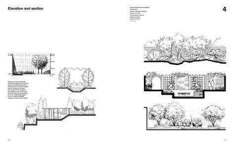 Landscape Elevation Drawing, Section Elevation Landscape Architecture, Modern Houses Pictures, Landscape Architecture Section, Section Elevation, Orthographic Drawing, Shrubs For Landscaping, Landscape Design Drawings, Elevation Drawing