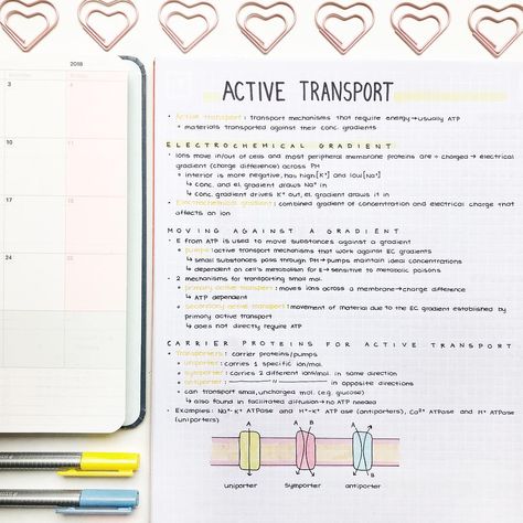 Active transport notes feat. me trying to plan out february in my @mosseryco planner 🙈 I really don’t have that much planned for the next… Note Inspiration, Active Transport, Edit Pictures, School Suplies, Pretty Handwriting, Study Corner, Science Notebook, Aesthetic School, My Notes