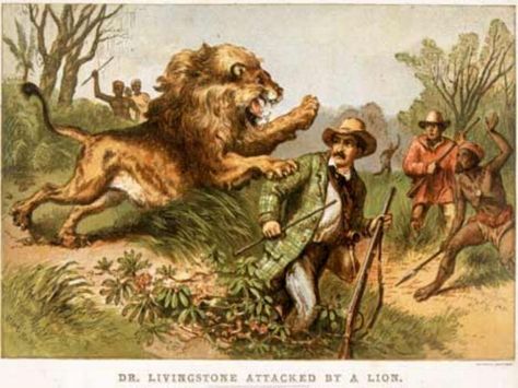 David Livingston Attacked by a Lion Snakes Photos, Names Of Birds, Snake Photos, David Livingstone, Hunting Art, Livingstone, Victoria Falls, Story Of The World, Out Of Africa