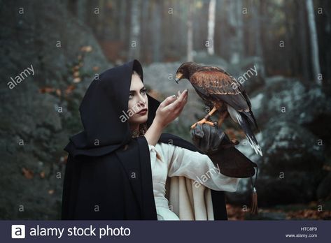 Falconry Greek Mythology Stories, Freya Goddess, Norse Goddess, Fantasy Quotes, Writing Fantasy, Ancient Mythology, Goddess Of Love, Super Moon, Fantasy Aesthetic