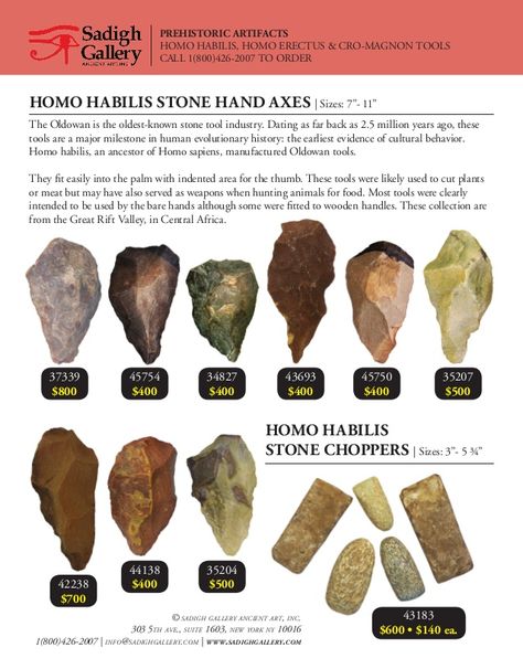 Sadigh Gallery Prehistoric Artifacts Collection Early Humans Tools, Ancient Artifacts Prehistoric, Homo Habilis, Stone Age Tools, Indian Stone, Native American Tools, Rock Identification, Arrowheads Artifacts, Ancient Tools