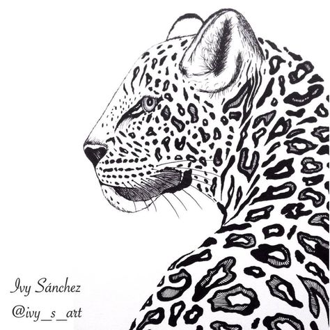 AMUR LEOPARD - World's Rarest Cat The Amur leopard is one of the world's most endangered cats. It is a solitary, nocturnal leopard that lives in the Amur River basin of eastern Russia. Now extinct... Spot Drawing, Amur River, Leopard Illustration, Leopard Drawing, Patterns Drawing, Lion Art Tattoo, Leopard Tattoos, Tiger Images, Amur Leopard