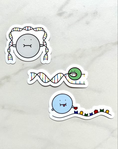 Biology Drawing, Science Cells, Medical Stickers, Science Stickers, Biology Art, Cell Biology, Scrapbook Stickers Printable, Molecular Biology, Hydroflask Stickers