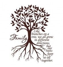 "Family. Like branches on a tree, we all grow in different directions, but our roots keep us all together." #quote Family Tree Quotes, Tree With Roots, Family Tree Painting, Tree Quotes, Vinyl Wall Quotes, Family Tree Wall, Family Roots, Trendy Tree, Red Tree