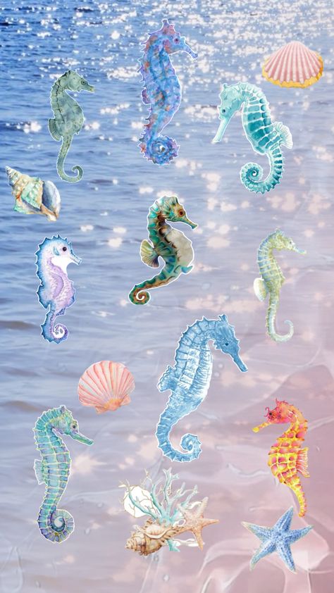 Seahorse!! Seahorse Aesthetic