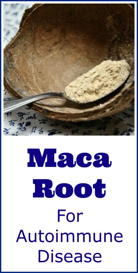 A lot of people are now using powdered maca root as a natural remedy for autoimmune conditions, such as thyroid disease and arthritis. Autogenic Training, Maca Root, Natural Healing Remedies, Holistic Remedies, Natural Therapy, Natural Remedy, A Lot Of People, Autoimmune Disease, Natural Home Remedies