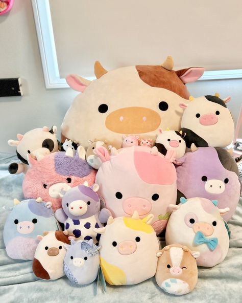 𝓜𝓸𝓸✩‧₊˚🐄 #nationalcowday I wanted to post my cow collection! Forgot to add Benito and left my highland cows out 🤍🐮 - - #squishmallowscow #squishmallows #cow #squadspotlight #squishmallowscommunity #strawberry Highland Cows, Christmas Wish List, Highland Cow, Christmas Wishlist, Cow, Sunflower, Wish List, Floral, Christmas