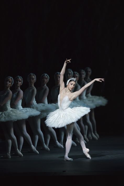 Yasmine Naghdi, Swan Lake Ballet, The Royal Ballet, Ballet Beauty, Ballet Performances, Alvin Ailey, Ballet Inspiration, Outdoors Tattoo, Dancing Aesthetic