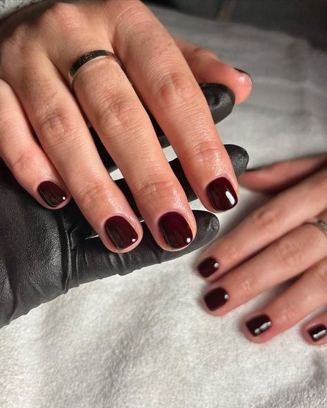 Short Wine Color Nails, Classy Gel Manicure, Short Red Wine Nails, Short Merlot Nails, Short Oxblood Nails, Maroon Shellac Nails, Short Gel Nails Wine Red, Maroon Nails Short, Maroon Short Nails