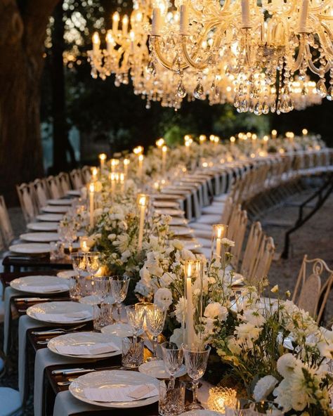 That moment…When sunlight turns magical and alfresco dining becames even more special 🌿🥰 . .. … …. ….. Ph @bottega53 Planning & design… | Instagram Dining Wedding, Florence Wedding, Elegant Wedding Reception, Happy Wife Happy Life, Tuscan Wedding, Alfresco Dining, Wedding Set Up, Future Wedding Plans, Seattle Wedding