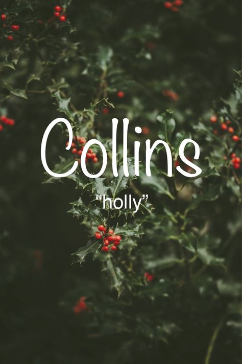 Collins Name, Uncommon Baby Boy Names, Literary Names, Unique Words Definitions, Best Character Names, Fantasy Names, Beautiful Names, Writing Characters, Word Definitions