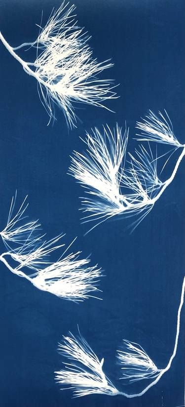 Botanical Cyanotypes from Plants (All sizes) | Saatchi Art Triptych Photography, Imogen Cunningham, Cyanotype Process, Japanese Art Modern, Japanese Woodcut, Contact Print, Experimental Photography, Figurative Art, Asian Art