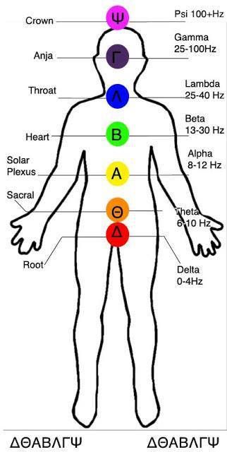 The Seven Chakras of the human body are relatable to the seven primary brain… Gamma Waves The Brain, Anja Chakra, Bagua Mirror, Delta Waves, Theta Waves, Chakra Chart, Alpha Waves, Bagua Map, Energy Positive