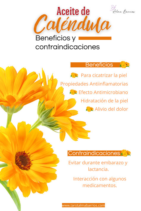 A continuación, exploraremos ambos aspectos del aceite de caléndula. Calendula Officinalis, Marketing