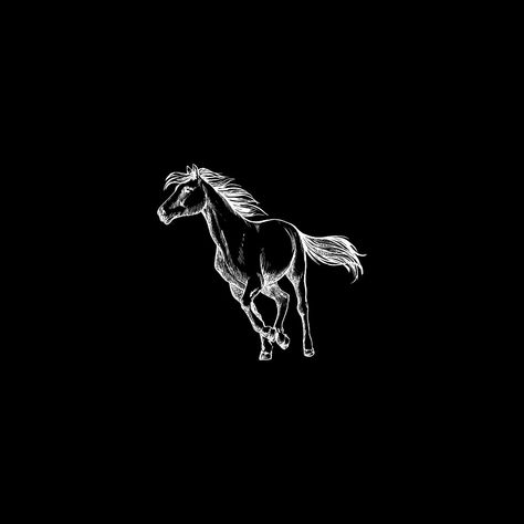 Horse Black Wallpaper, Horse Highlight Covers Instagram, Black Horses Wallpaper, Black Horse Aesthetic, Black Horse Wallpaper, Horse Outline, Black Highlights, Western Wallpaper Iphone, Camera Logo