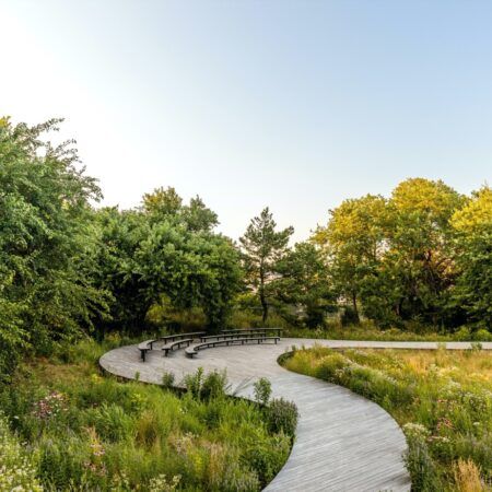 Cemetery Landscape, Black Cherry Tree, Agriculture Projects, Urban Nature, Urban Environment, Community Gardening, Contemporary Landscape, Landscape Architect, Architecture Project