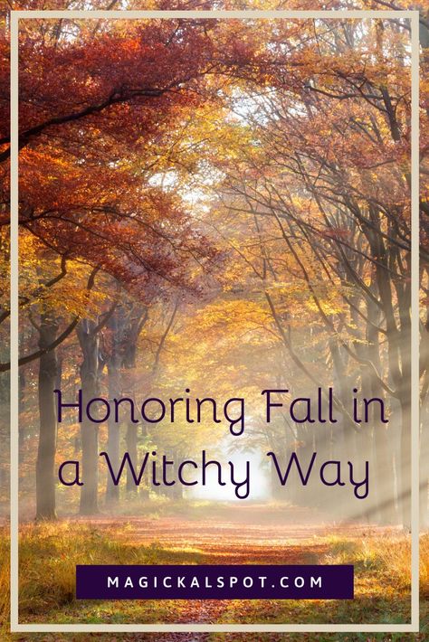 In this article, we'll learn How to Honor Fall in a Witchy Way. We'll take a look at rituals and other things you can do during this season. October Spells, Fall Rituals, Seasonal Witch, Autumn Reading, Full Moon Spells, Witchy Fall, Voodoo Magic, Fall Magic, Magickal Herbs