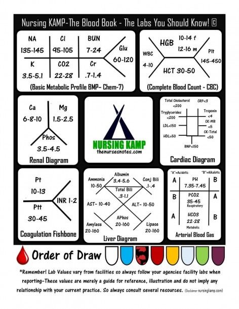 Fishbone Diagram Medical Medical Pneumonics, Labs Nursing, Phlebotomy Study, Nursing Labs, Cardiology Nursing, Coconut Health, Np School, Clinical Laboratory, Nurse Tips