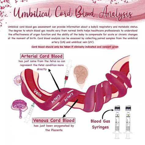 Ultrasound Notes Study, Midwifery Student Aesthetic, Midwifery Student Notes, Student Midwife Studygram, Obgyn Notes, Obgyn Medical Terminology, Mother Baby Nursing School, Midwife Vs Obgyn, Spiritual Midwifery