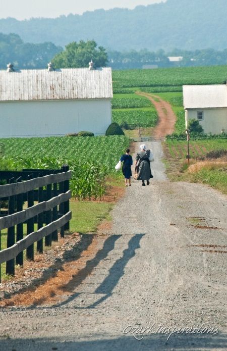 A First Visit To The Amish: Attending Amish Church (9 Photos) Amish Aesthetic, Amish Country Aesthetic, Amish Communities To Visit, Amish Village, Amish Country Pennsylvania, Amish Men, Ohio Amish Country, Amish Farm, Amish Culture