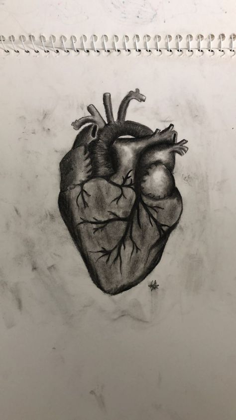 Shaded Heart Drawing, Sketch Shading, Shading Pencil, Fashion Drawing Sketches, Heart Sketch, Charcoal Sketch, Year Book, Heart Drawing, Charcoal Drawing