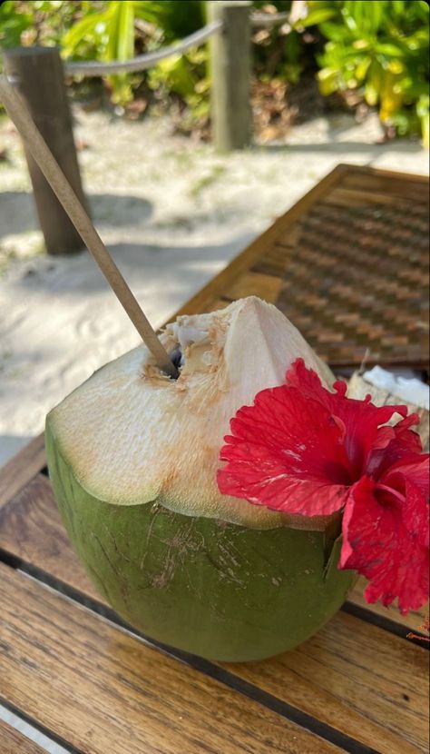 Coconut Drink Aesthetic, Dishes Aesthetic, Thailand Vacation, Coconut Drinks, Beach Living, Summer Is Here, Summer Feeling, Summer Dream, Summer Breeze