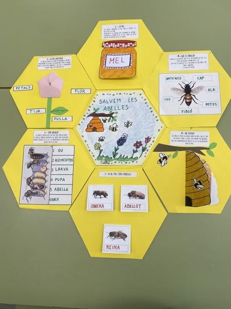 Bee Lapbook, Life Cycle Of A Bee, Bee Project, Bee Life Cycle, Bunny Invitations, Science For Toddlers, Bee Activities, Preschool Fine Motor Activities, Bee Classroom