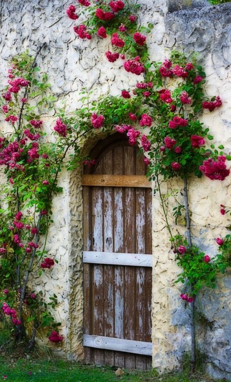 Gorgeous Doors, Cool Doors, Old Door, Old Doors, Garden Doors, Wood Doors Interior, Unique Doors, Beautiful Doors, Door Knockers