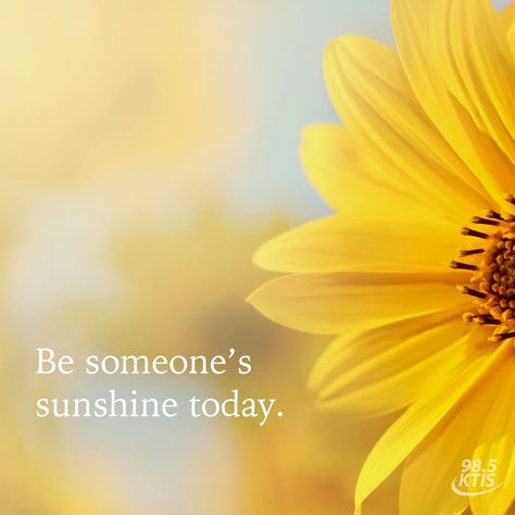 Be Someone's Sunshine Today Enjoy Today Quotes, Facebook Cover Photos Flowers, Life Is Precious, Life Is A Gift, Today Quotes, Enjoy The Little Things, Kindness Quotes, Amazing Day, Good Morning Good Night