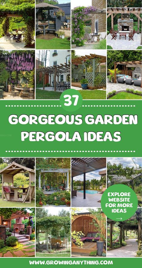 Garden pergola ideas add both style and function to outdoor spaces, offering shade and character. Find creative designs to enhance your garden in unique ways. Whimsical Pergola, Pergola Garden Ideas, Green Pergola, Courtyard Pergola, Garden Pergola Ideas, Pergola Pictures, Garden Pergola, Pergola Garden, Diy Home Garden