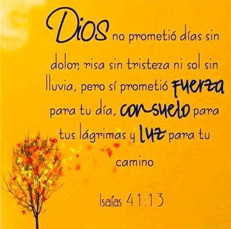 Dios promete paz Bible Text, Gods Love Quotes, Healing Words, Deviant Art, Biblical Quotes, Inspirational Bible Verses, Spanish Quotes, Dear God, Verse Quotes