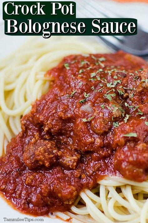 Easy Slow Cooker Crock Pot Bolognese sauce Recipe with beef perfect for pasta family dinner. So easy to make! Comfort Food! #crockpot #slowcooker #pasta #bolognese Bison Spaghetti Sauce, Crock Pot Spaghetti Sauce Ground Beef, Slow Cooker Spaghetti Sauce With Meat, Spaghetti Meat Sauce Recipe, Ground Turkey Spaghetti, Slow Cooker Bolognese Sauce, Crockpot Spaghetti Sauce, Spaghetti With Meat Sauce, Crockpot Foods