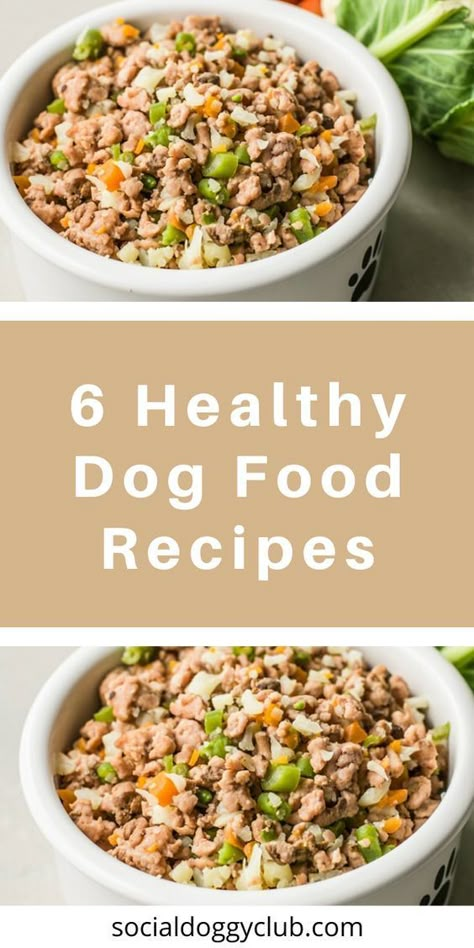 Here are 6 healthy and super tasty dog food recipes that your pup will love. Sensitive Dog Food Recipes, All Natural Dog Food Recipes, Nutritious Dog Food Recipes, Heart Healthy Dog Food Recipes, How To Make Your Own Dog Food Recipes, Low Sodium Dog Food Recipes, Low Protein Dog Food Recipes, Fresh Puppy Food Recipes, Dog Diet Food Recipes