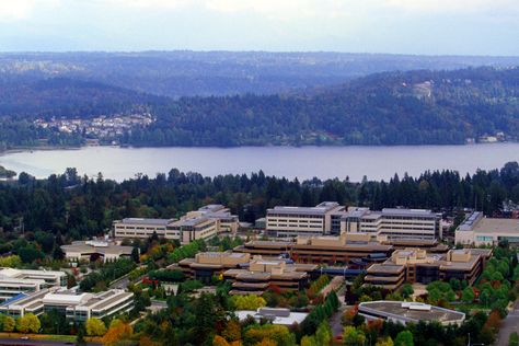 Microsoft - Redmond, WA. USA. They know about what they do Microsoft Headquarters, Redmond Washington, Evergreen State, Dream Places, Emerald City, Puget Sound, Microsoft Office, Washington State, Aerial View