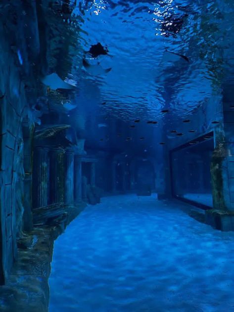 Underwater Building, Underwater Dark, Water Shrine, Aquarium Building, Blue Aquarium, Barbie In A Mermaid Tale, 2 Aesthetic, Bangunan Minecraft, Bawah Air