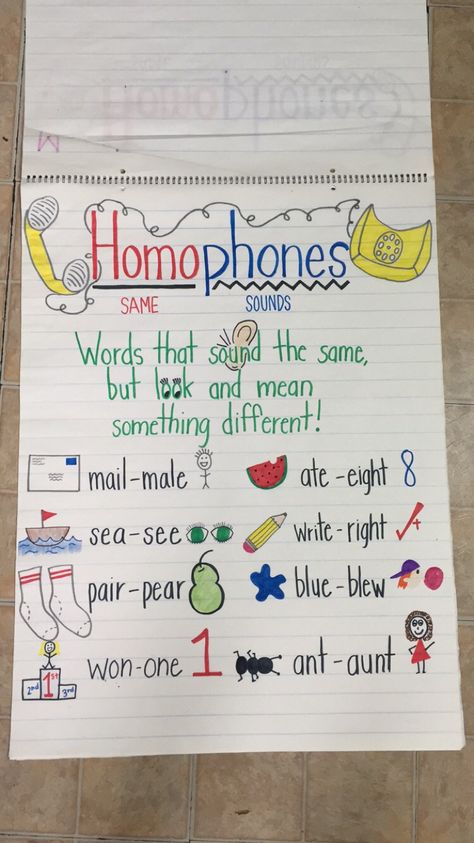 Vocabulary Anchor Chart Kindergarten, Homograph And Homophone Anchor Chart, Homophones Project Ideas, 3rd Grade Homophone Activities, Homophones Anchor Chart 3rd Grade, Homophone Anchor Chart 2nd Grade, Vocabulary Second Grade, Homophones Activities 3rd Grade, Ckla Second Grade Anchor Charts