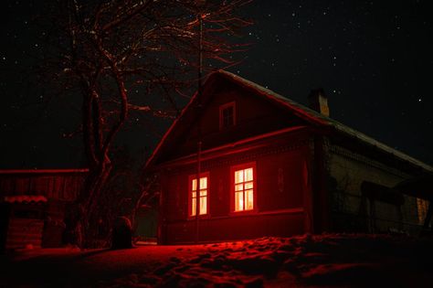 Classic Scary Movies, Scary Houses, Cabin Aesthetic, Creepy Houses, Astral Plane, Bare Tree, Horror House, Red Lantern, Spirit World