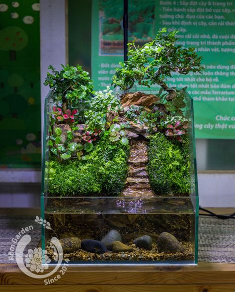 Terrarium Tank, Indoor Aquaponics, Aquarium Architecture, Water Wall Fountain, Wall Aquarium, Amazing Aquariums, Fish Tank Terrarium, Aquascape Design, Diy Fish Tank