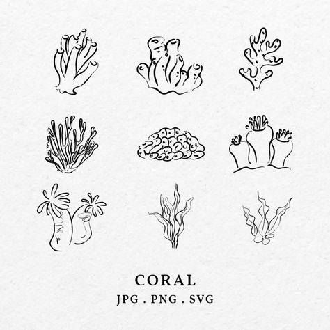 Simple Coral Drawing, How To Draw Coral, Corals Illustration, Water Line Art, Coral Illustration, Coral Drawing, Coral Design, Art Svg, Art Sea