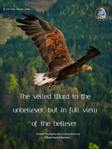 Amen🙌 Mighty Angel 🌈(Rev 10:1) Prophet William Marrion Branham⭐(Rev:10:7) Bride Of Jesus Christ 👰(Rev 10:8-11) #endtimemessagebelievers 👰 #endtimemessages 🌈 #endtimemesaagequotes ✡️ #teluguendtimessagequotes #englishendtimemessagequotes #williambranhamquotes #brideofchrist #flyingeagles #wordbridetabernacle #branhamtabernacles #endtimemessagesongs #beliversofchrist #raptureofthechurch #branhamquotes #raptureofbride #jesuskingdom #williammarrionbranham #backtoeden #telugubibleverses # William Branham Quotes, Branham Quotes, Jesus Kingdom, Bride Quotes, End Times Prophecy, William Branham, Dress Couture, Bride Of Christ, Message Quotes