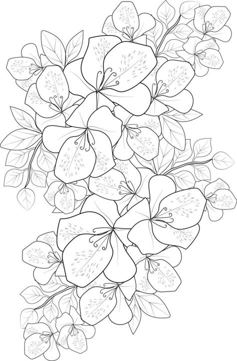 Hand-drawn beautiful evergreen Azalea Rani, flower bouquets, Flower zen doodle art easy sketches flowers decorative  outline design coloring pages for adults Flower Bouquet Outline, Bouquet Outline, Doodle Art Easy, Sketches Flowers, Design Coloring Pages, Easy Sketches, Outline Design, Flower Drawing Tutorials, Vector Infographic