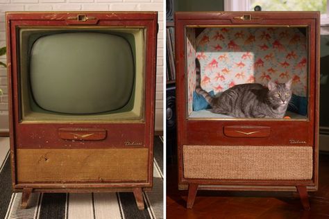 Turn an Old TV Set Into a Cat House With This DIY Project Repurposed Furniture Cat House, Box Tv Cat Bed, Old Tv To Cat Bed, Old Tv Into Cat Bed, Old Tv Cat Bed, Vintage Tv Stand Cat Bed, Diy Cat Bed, Diy Cat Toys, Cat House Diy