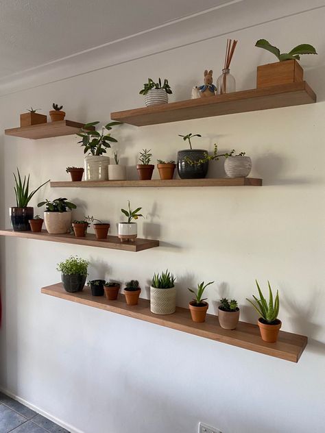 Offset Wall Shelves, Green Floating Shelves, Floating Shelf Gallery Wall, Living Room Shelf Ideas, Shelves Design Wall, Offset Shelves, Creative Shelving Ideas, Creative Shelving, Living Room Plants Decor