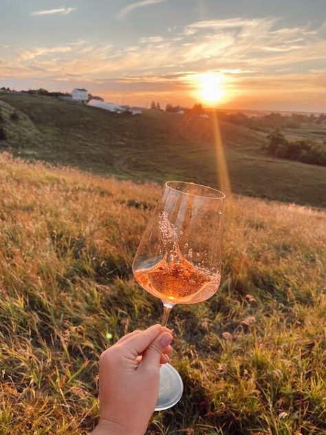 top 5 list of our favorite rosé wines that we recommend you try this spring and summer. Wine Tasting Pictures, Rose Wine Photography, Rose Wine Aesthetic, Summer Wine Aesthetic, Wine Styling, Wine And Flowers, Best Rose Wine, Wine Aesthetic, Colored Wine Glasses